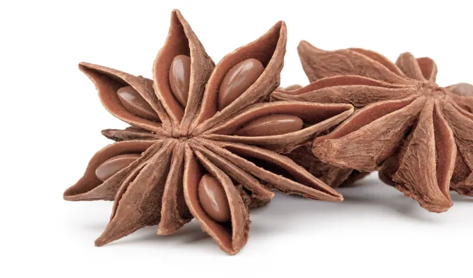 Star Anise – Emma Relief natural digestive relief ingredient